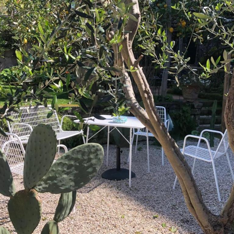 Suite Lidia B&B - Junior Suite con Vista Giardino - 32