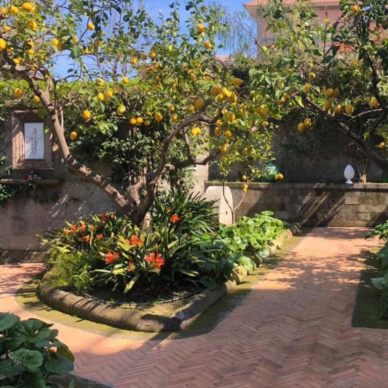 Chalet Lidia - Suite con Vista Giardino - 10