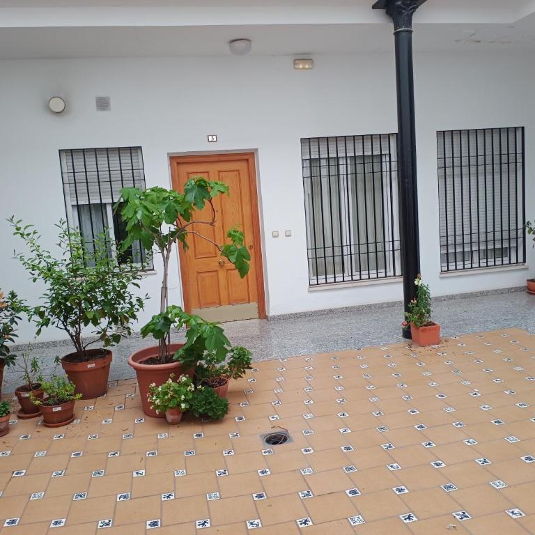 SunShine Fernando Colon - Apartamento de 1 dormitorio - 4