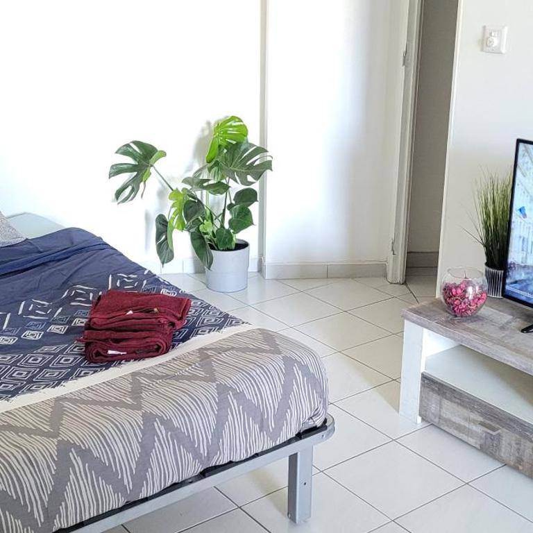 Charmant Studio Cannes Centre - Idéal Vacance et congrés - Apartment mit 1 Schlafzimmer - 1
