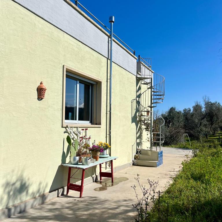 B&B Le Palombelle Casa Vacanze - Villa con 1 Camera da Letto - 14