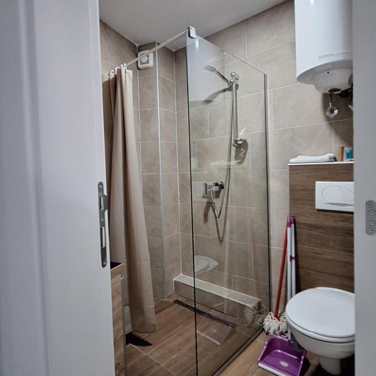 Kopaonik - Milmari resort S65 - One-Bedroom Apartment - 11