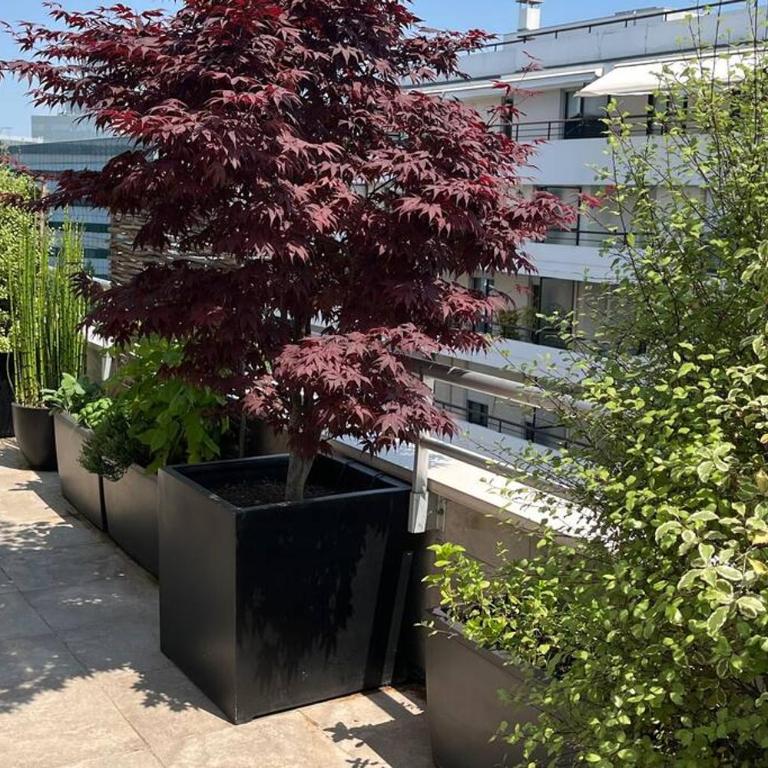 Le PARADIS Joli cocon bien agencé avec terrasse traversante - Apartamento de 1 dormitorio - 10