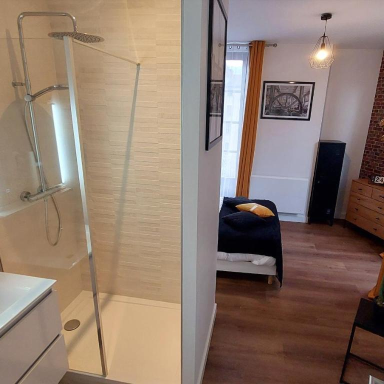 Hyper centre de Grenoble, esprit industriel - fibre - Appartement 1 Chambre - 16