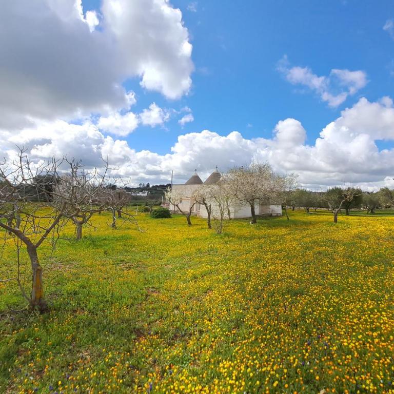 Trulli Carlo Anna - Villa con 2 Camere da Letto - 49