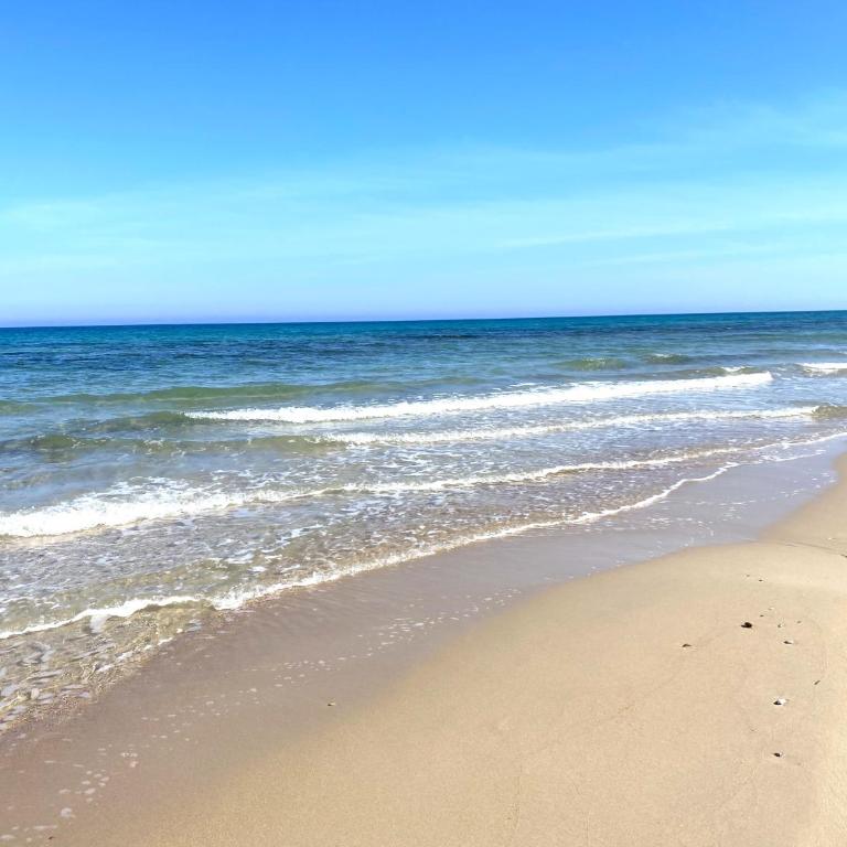 Precioso apartamento a tan solo 300 m de la playa! - Apartment mit 2 Schlafzimmern - 36