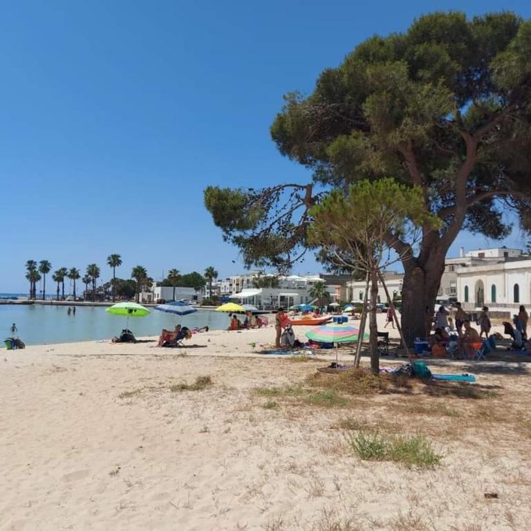VILLA BIANCA Porto Cesareo - Deluxe One-Bedroom Apartment with Garden View - 7