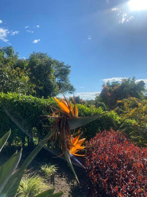 FINCA LOS COCHOS CABAÑA EL AGUACATE!!! - One-Bedroom House - 11