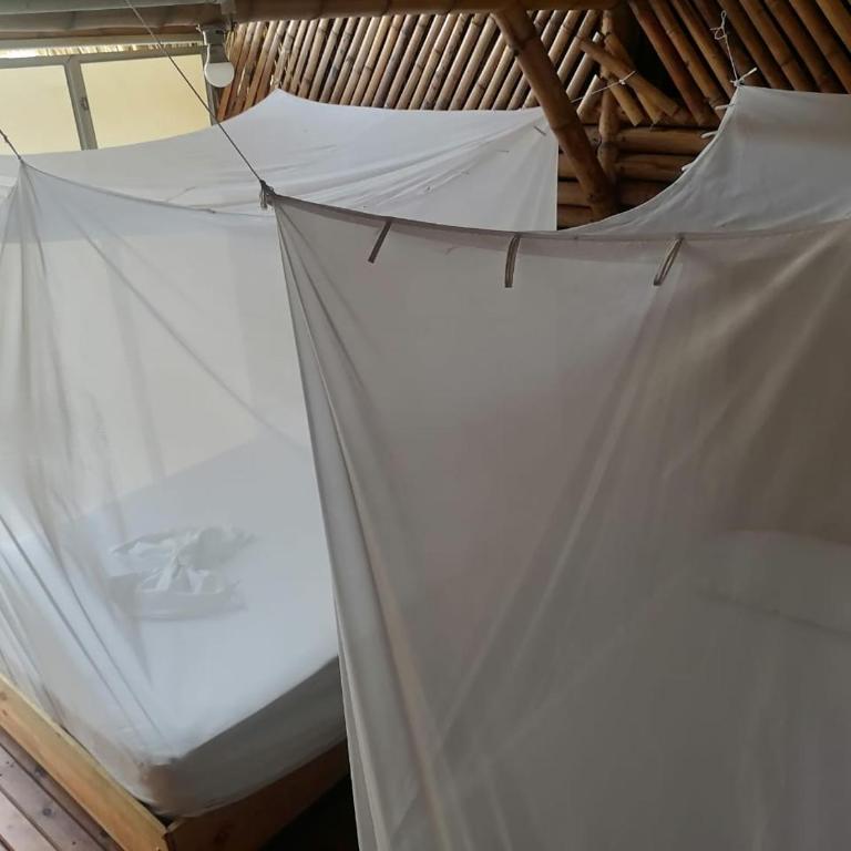 Cabaña Beach Palomino - Habitación Doble con baño privado - 1 o 2 camas - 23