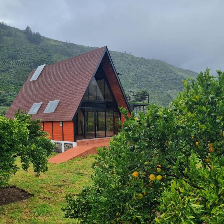 Destinos Exclusivos Patate - Chalet - 5