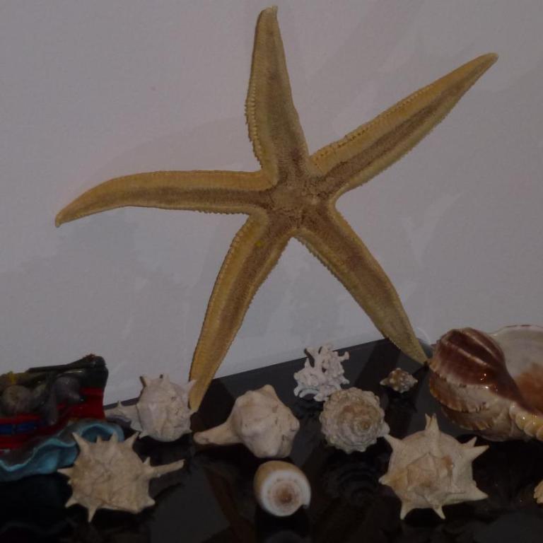 Sea Star - Casa Vacanze - 33