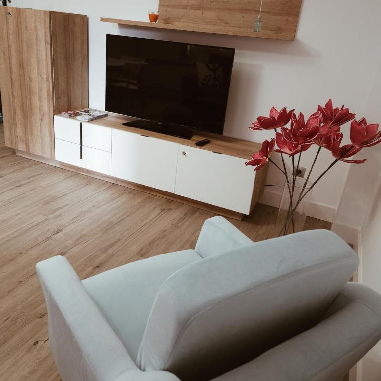 Duplex labradores centro 8PAX, PARKING INCLUIDO - Apartamento de 3 dormitorios - 9