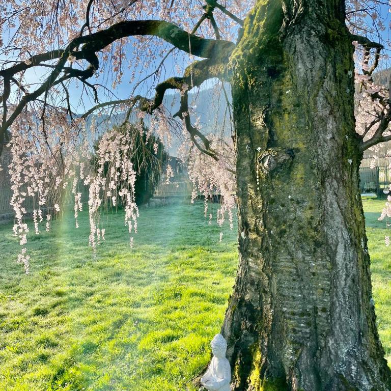 Paradiso sul lago - Casa - 3