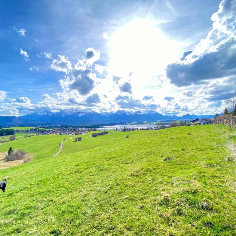 Apartment mit Balkon & Schlossblick I Hund - Apartment mit 1 Schlafzimmer - 12