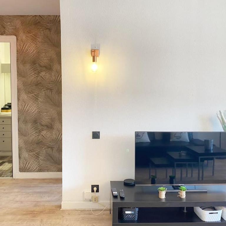 Amazone, centre-ville & parking - Appartement 1 Chambre - 16