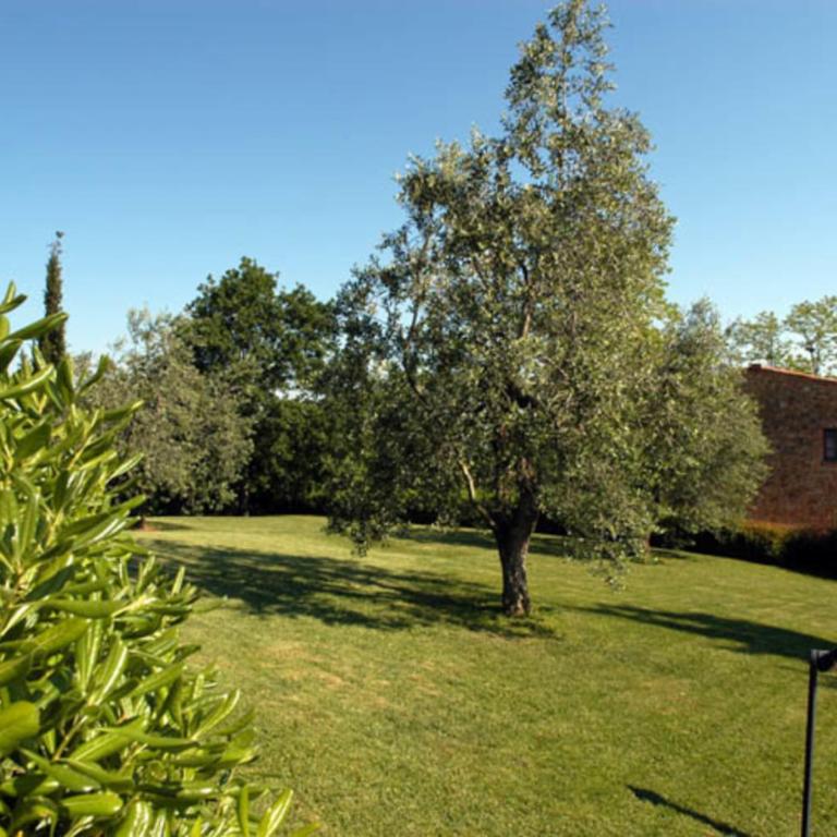 Comiti Farmhouse Apt Gioconda - Appartamento con 2 Camere da Letto - 4