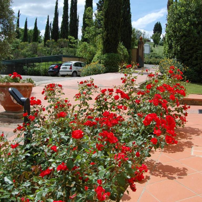 Comiti Farmhouse Apt Gioconda - Appartamento con 2 Camere da Letto - 12