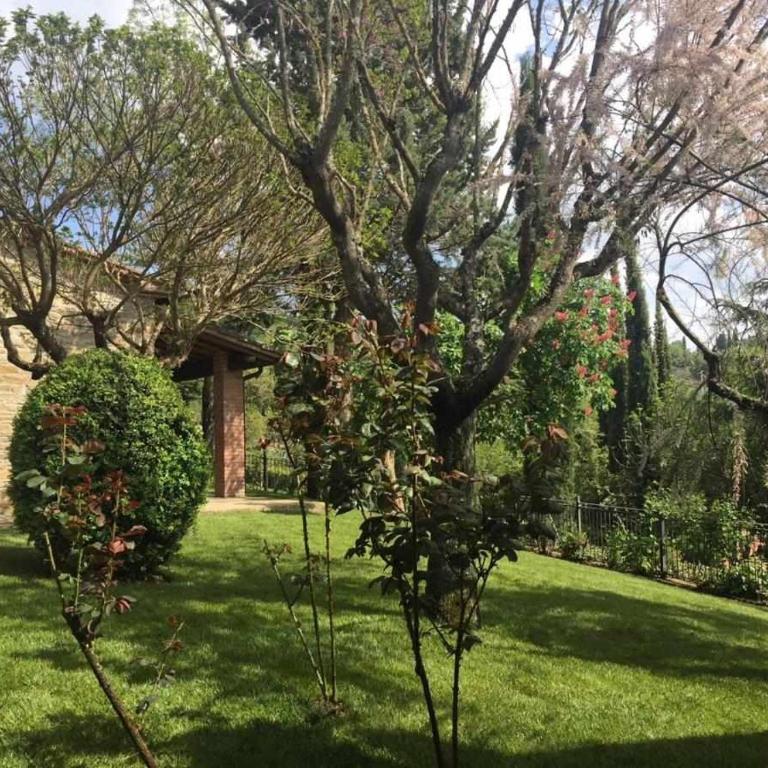 Sassocupo Apartment - Apartment - 10