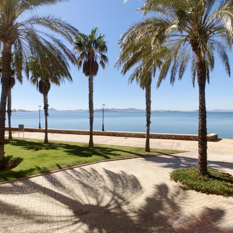 Spanish Connection - Gemelas de Frente Marino - Apartamento con vistas al lago - 28