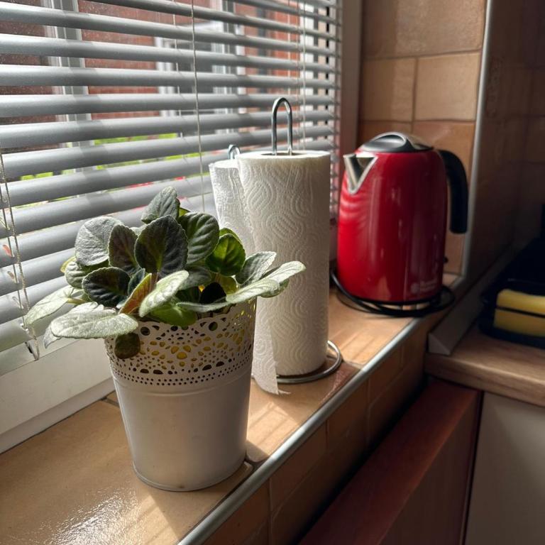 Garsonjera Zvezdara - Apartman sa 1 Spavaćom Sobom - 15
