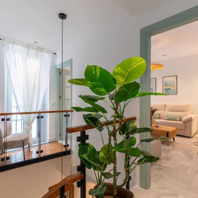Sueño de Sevilla, Apartamento en la Alfalfa - Apartamento de 2 dormitorios con balcón y terraza - 6