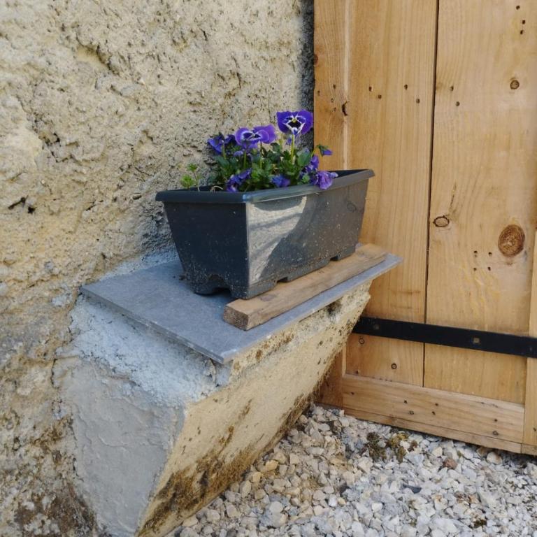 les Seilles de Clovis - Appartement 2 Chambres - 5