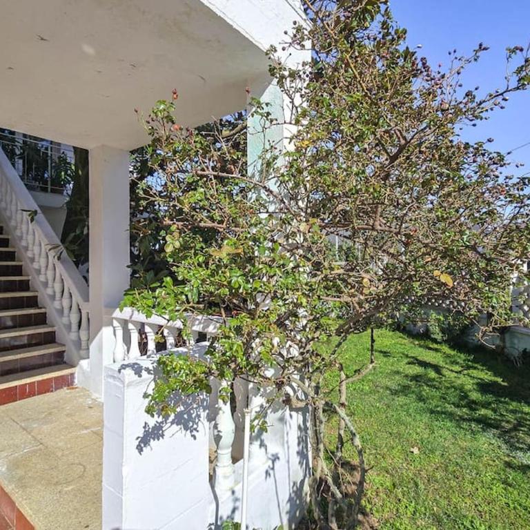 Acogedor y luminoso apartamento Planta 2 N3 - Apartamento de 2 dormitorios con terraza - 1