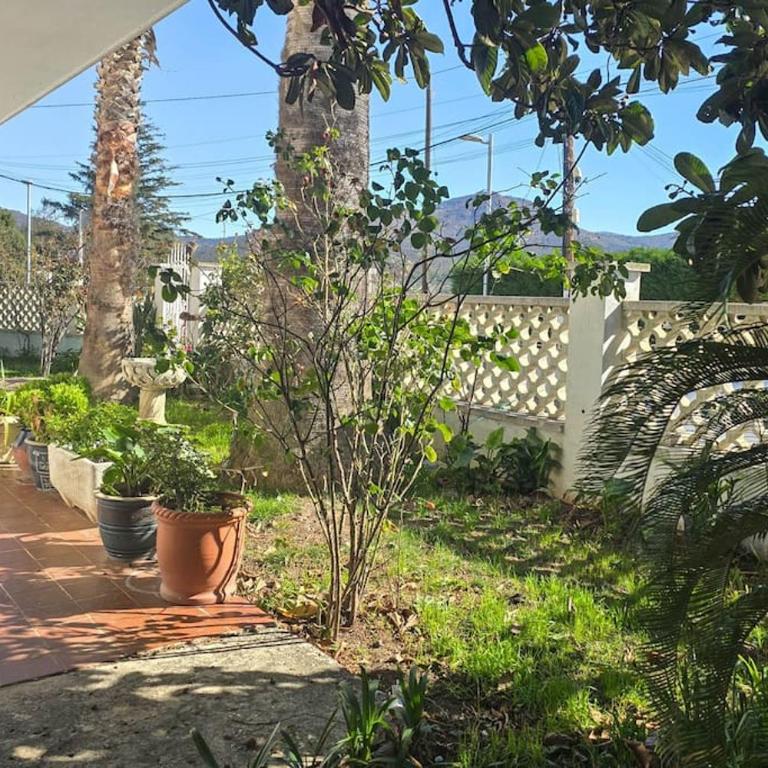 Acogedor y luminoso apartamento Planta 2 N3 - Apartamento de 2 dormitorios con terraza - 12