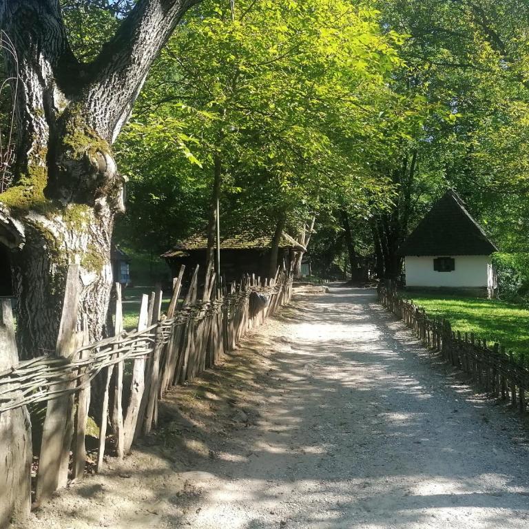 Apartmani Iva - Apartman sa 1 Spavaćom Sobom - 48
