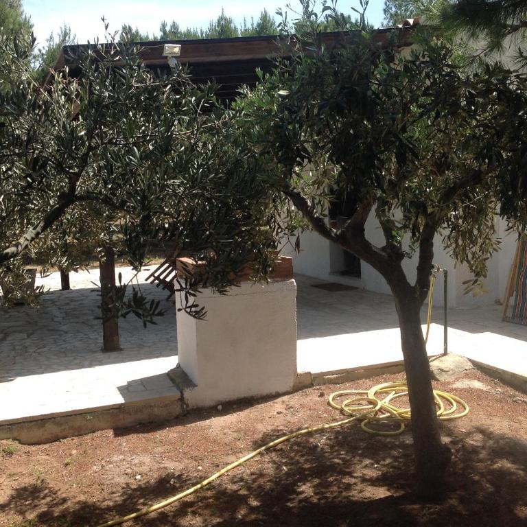 Appartamenti in villa Senia - Villa con 2 Camere da Letto - 17