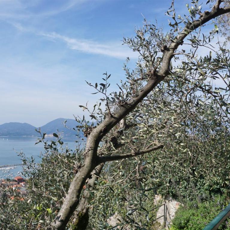 Miralunga Villetta Rossa - Casa con 3 Camere da Letto - 66