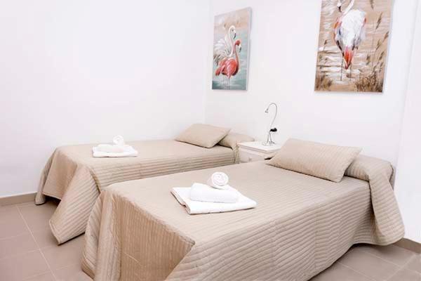 Conilsolymar terraza - Apartamento de 2 dormitorios - 13
