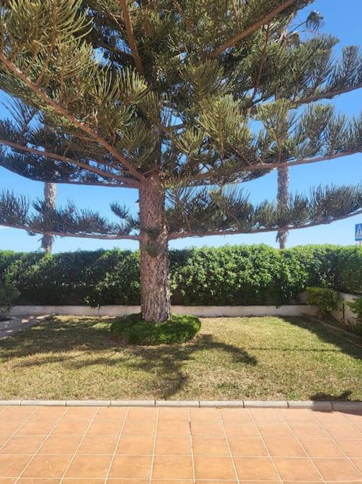 BERJA33 - Three-Bedroom House - 17
