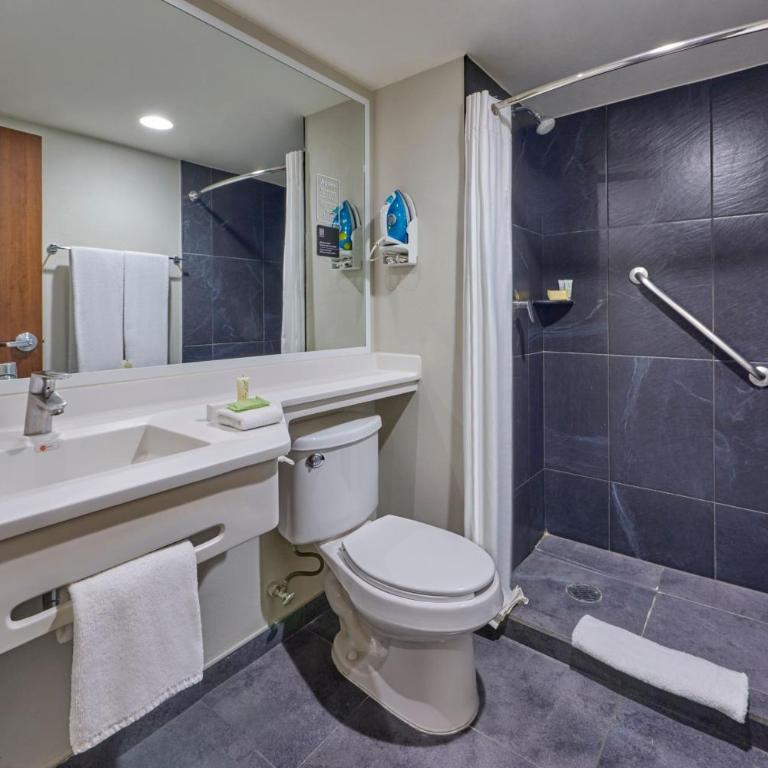 City Express Plus by Marriott Ciudad de México Periférico Sur Tlalpan - Habitación con cama grande - 6