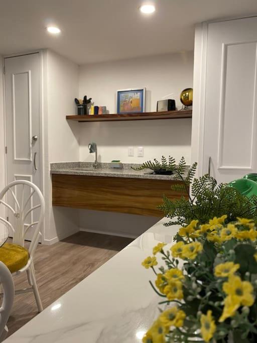 Increíble Loft en Centro Histórico de Guadalajara - One-Bedroom Apartment - 43