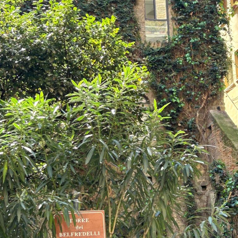 Borgo San Jacopo 8 - Appartamento con 2 Camere da Letto - 32