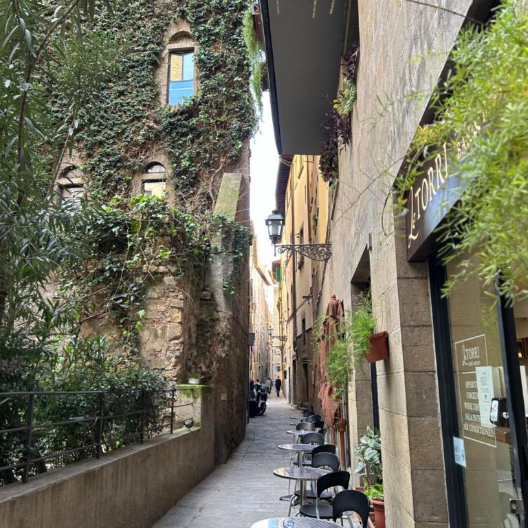 Borgo San Jacopo 8 - Appartamento con 2 Camere da Letto - 30