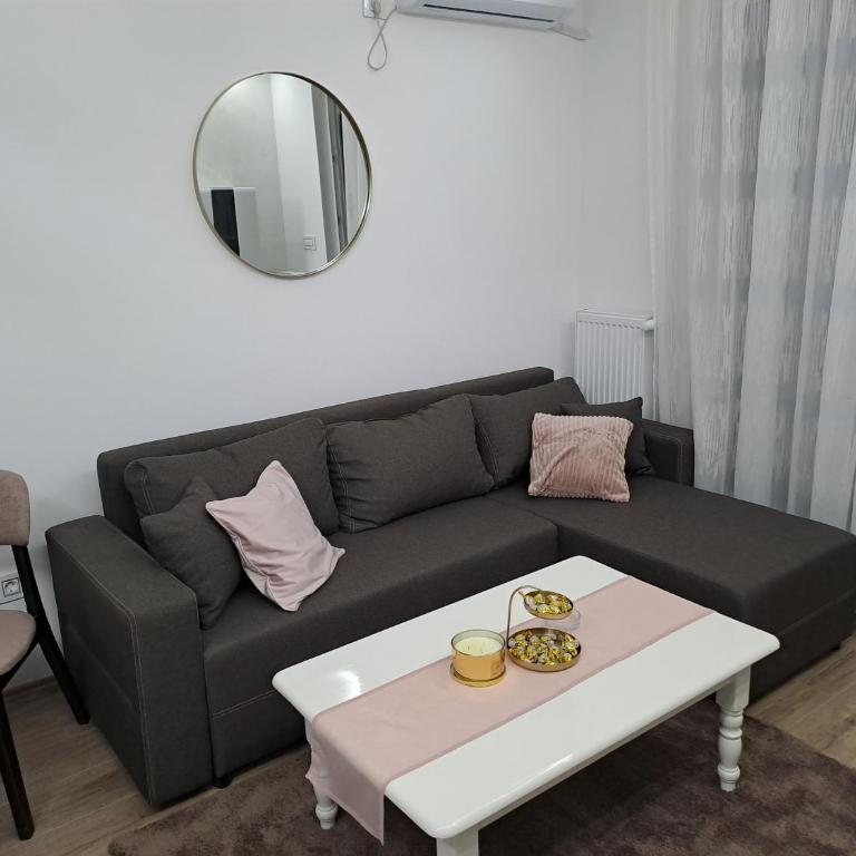 Apartmani Počuča - Apartman sa 1 Spavaćom Sobom - 7