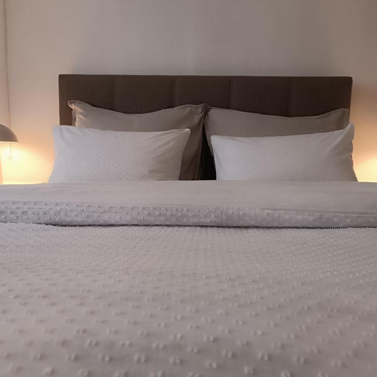 River apartman - Apartman sa 1 Spavaćom Sobom - 13