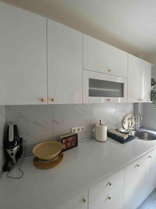 Apartman MONA - Apartman sa 1 Spavaćom Sobom - 14