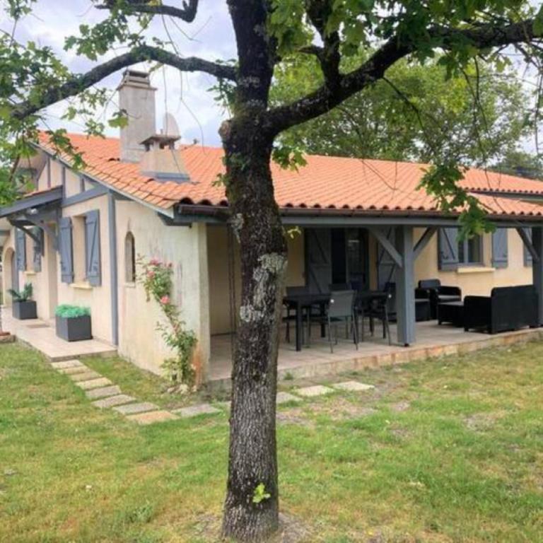 Villa Paille-en-Queue - Casa de 4 dormitorios - 16