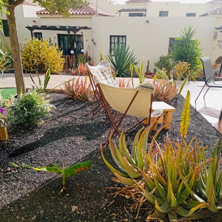 Casa La Pepita Las Lomas 117 - Two-Bedroom Apartment - 25