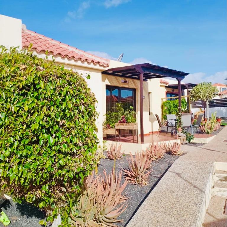 Casa La Pepita Las Lomas 117 - Two-Bedroom Apartment - 29