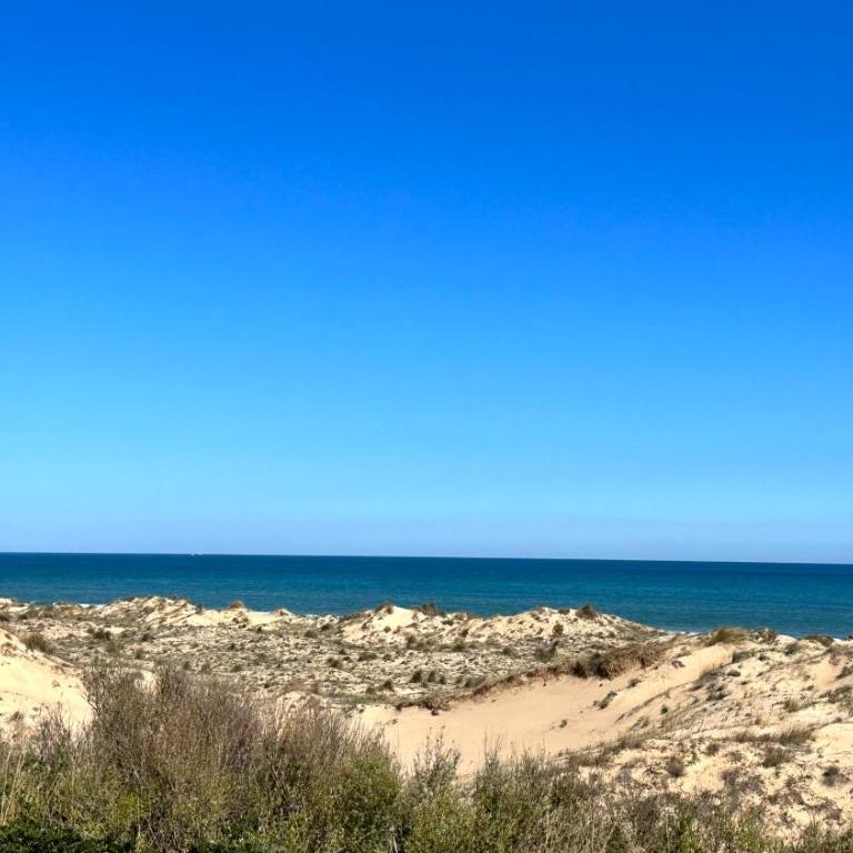CASAS DEL MAR - Oliva Nova - Primera línea de Playa - Apartamento de 3 dormitorios - 63