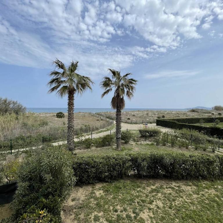 T3 6 pers avec piscine et accès direct plage - Saint-Cyprien - FR-1-106-101 - Apartment - 8