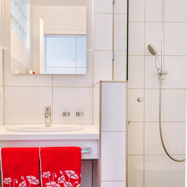 Ferienwohnungen Quellenhof - Apartment 5 mit Bergblick - 5