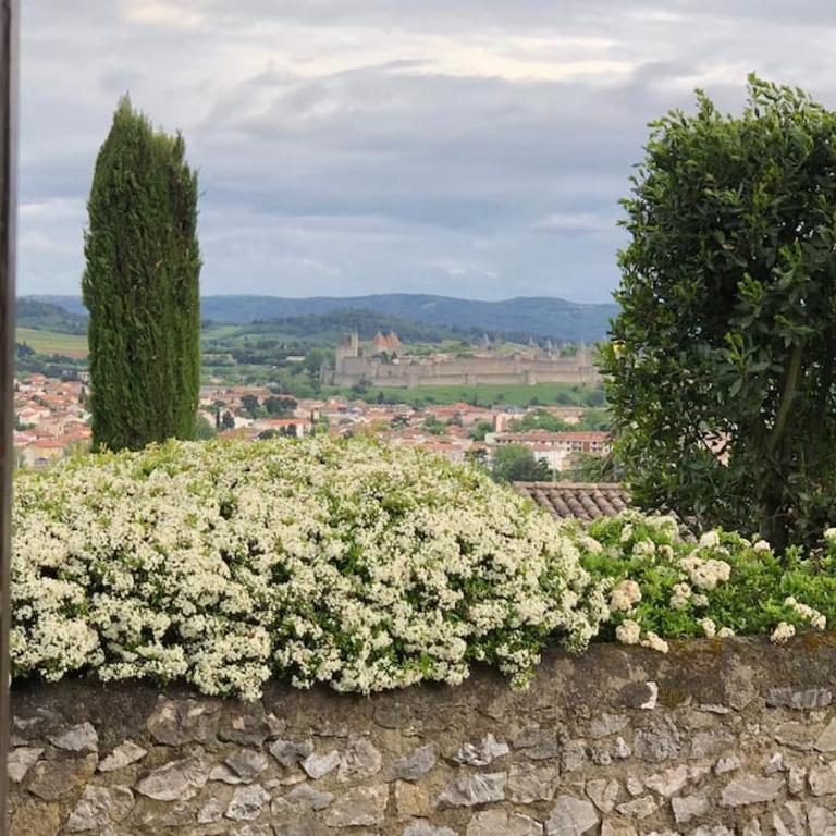 Maison de charme avec vue sur la cité médiévale. - Casa de 3 dormitorios - 5