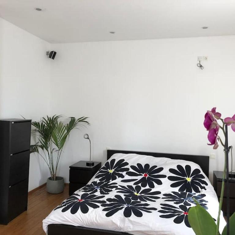 Maison de charme avec vue sur la cité médiévale. - Casa de 3 dormitorios - 10
