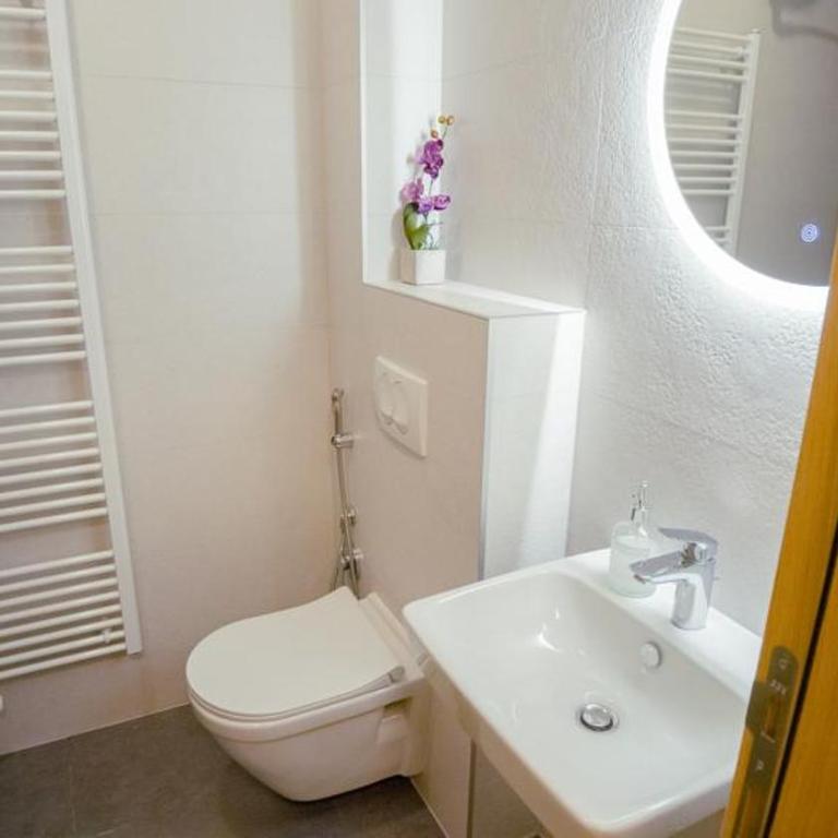 Green Ilidza Apartment - Apartman sa 2 Spavaće Sobe - 11