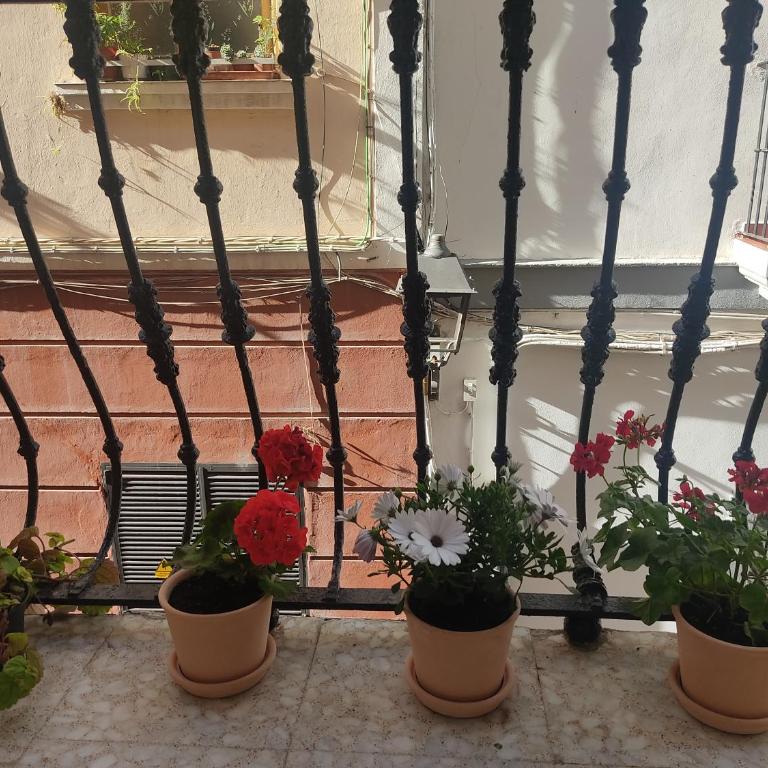 Estreno centro y playa Cádiz - Apartamento de 3 dormitorios - 32